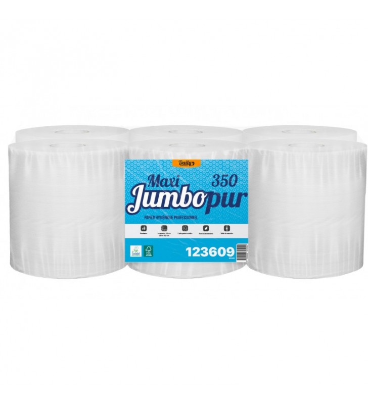 Papier toilette Maxi Jumbo - 6 Rouleaux de 350 m - 2 plis - Le Pro du  Médical : : Epicerie